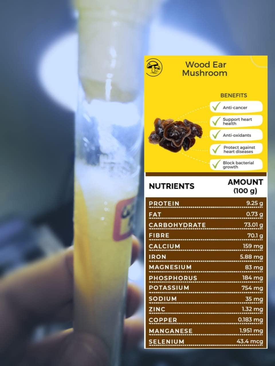 Generic Wood Ear Mushroom Culture size 18 * 150mm Test Tube (1pc) Best Quality