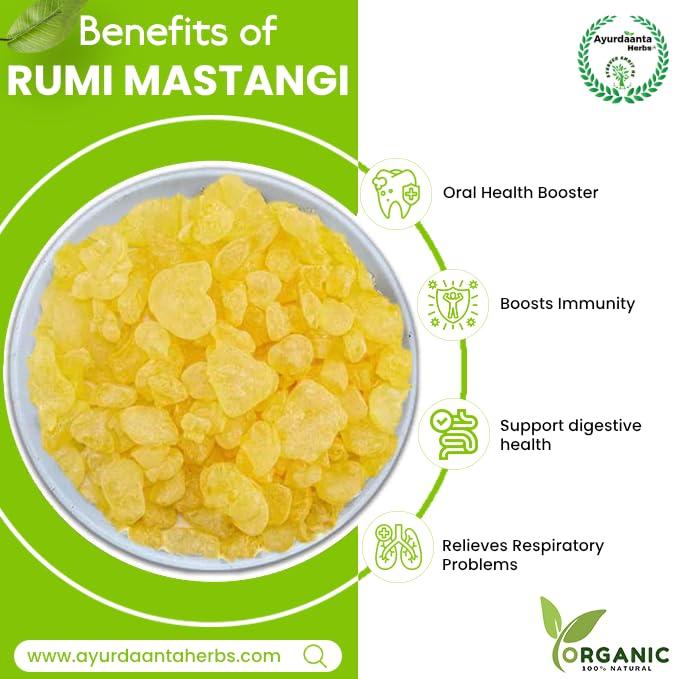 Ayurdaanta Herbs Rumi Mastagi - Mastangi - Pistacia Lenticus - Mastic Gum 50 GRAM