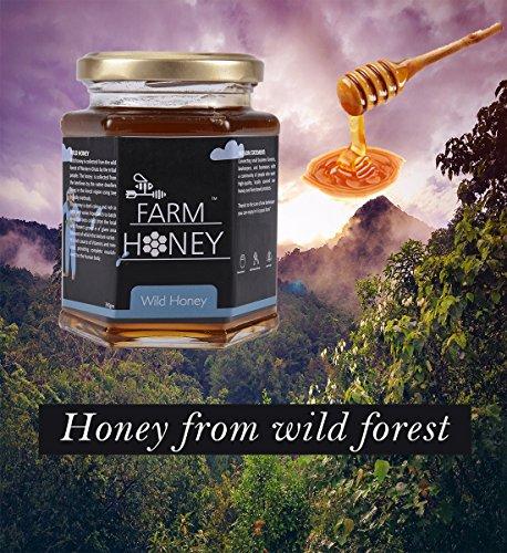 Farm Honey Farm Honey Wild Unprocessed Honey|Pure Organic Raw Honey|100% Natural|no preservatives| No Artificial Color|no Added Sugar|250 Gm