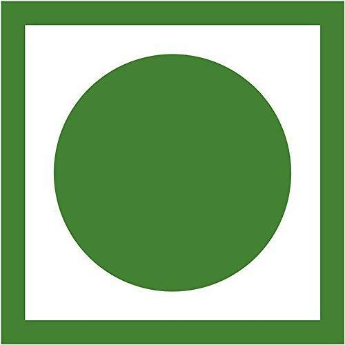 Watheen Watheen Mabroom Dates 800g Premium Dates from Saudi Arabia, Smooth and Sticky with High Fiber for Healthy Snacking (Mabroom Dates 800g)