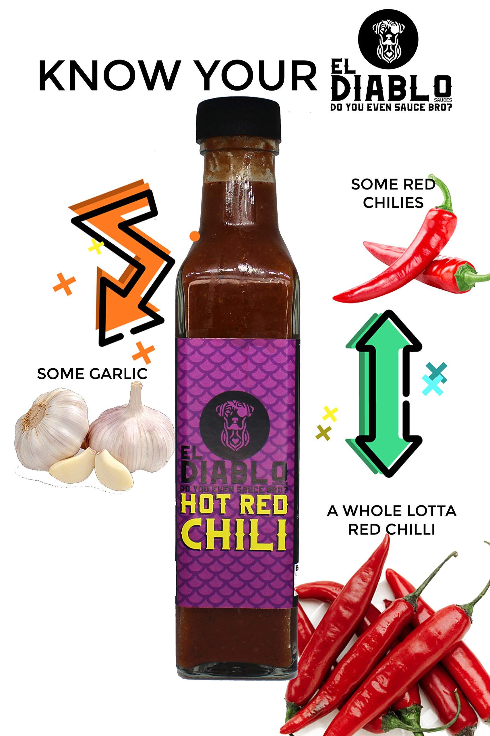 El Diablo Sauces EL Diablo Hot Red Chili Sauce Premium Gourmet Gluten Free Fresh Natural Ingredients 100% Vegan Momos Fried Rice Hakka Noodles Flavor Hot Chilli Spicy Sauce 240g Bottle