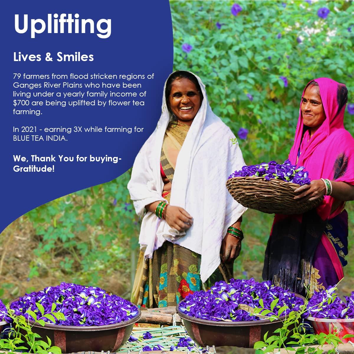 BLUE TEA BLUE TEA - Jasmine Tea - 30gm - 50 Cups | FOR SLIMMING BODY & STRESS RELIEF | Non-Bitter - Farm Fresh - Caffeine Free - Herbal Tea - Flower Based - Anti-Oxidants | Pet Jar Packaging