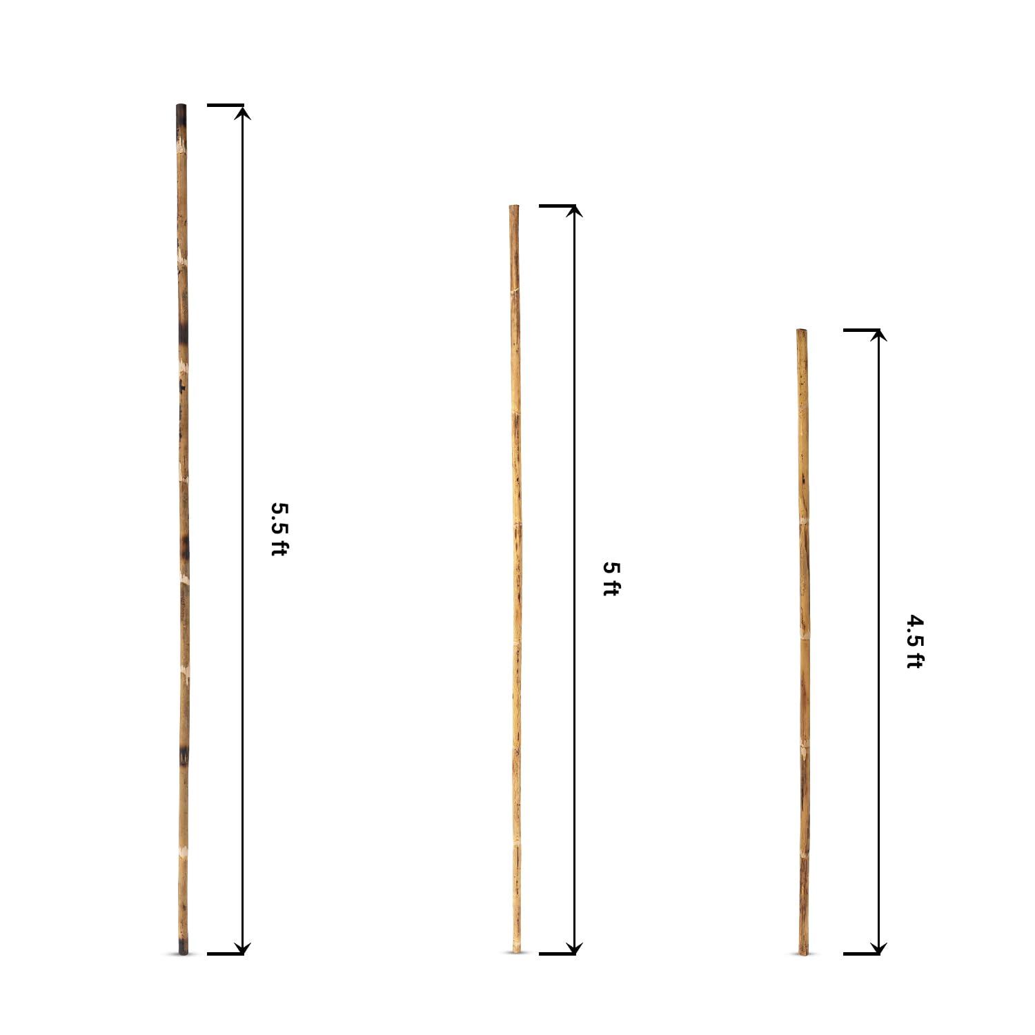 NavaFresh Basics ASA Silambam Stick Traditional Silambam Stick Cane, Unbreakable Stick, Long Stick, Walking Stick, Yoga Stick, Wooden Stick for Walking, Multipurpose Stick - Multicolour (5.5 feet)