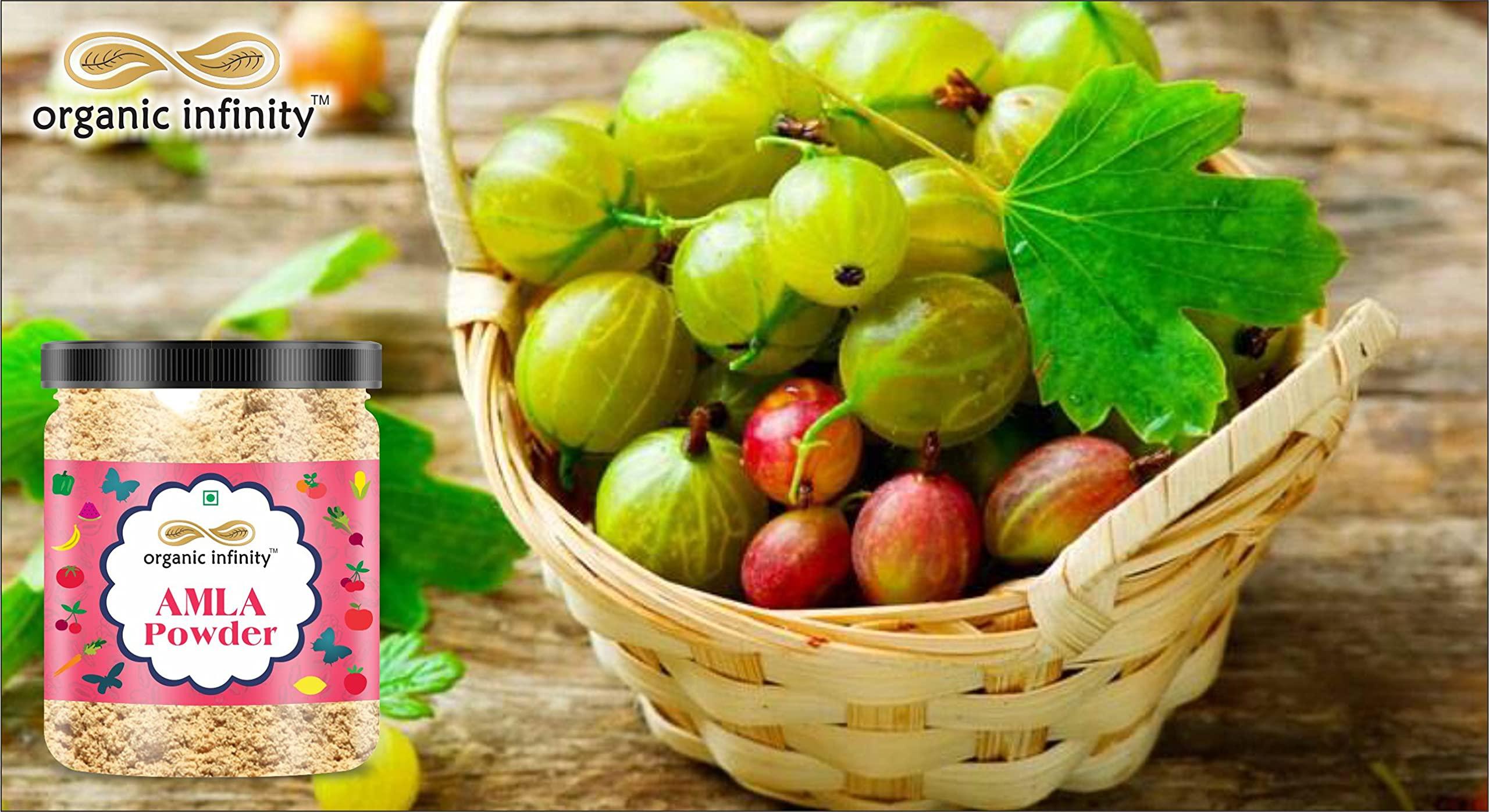 organic infinity Organic Infinity Amla Powder (Phyllanthus Emblica/Indian Gooseberry) (Primium) - 500 GM X 2 = 1 KG by Organic Infinity