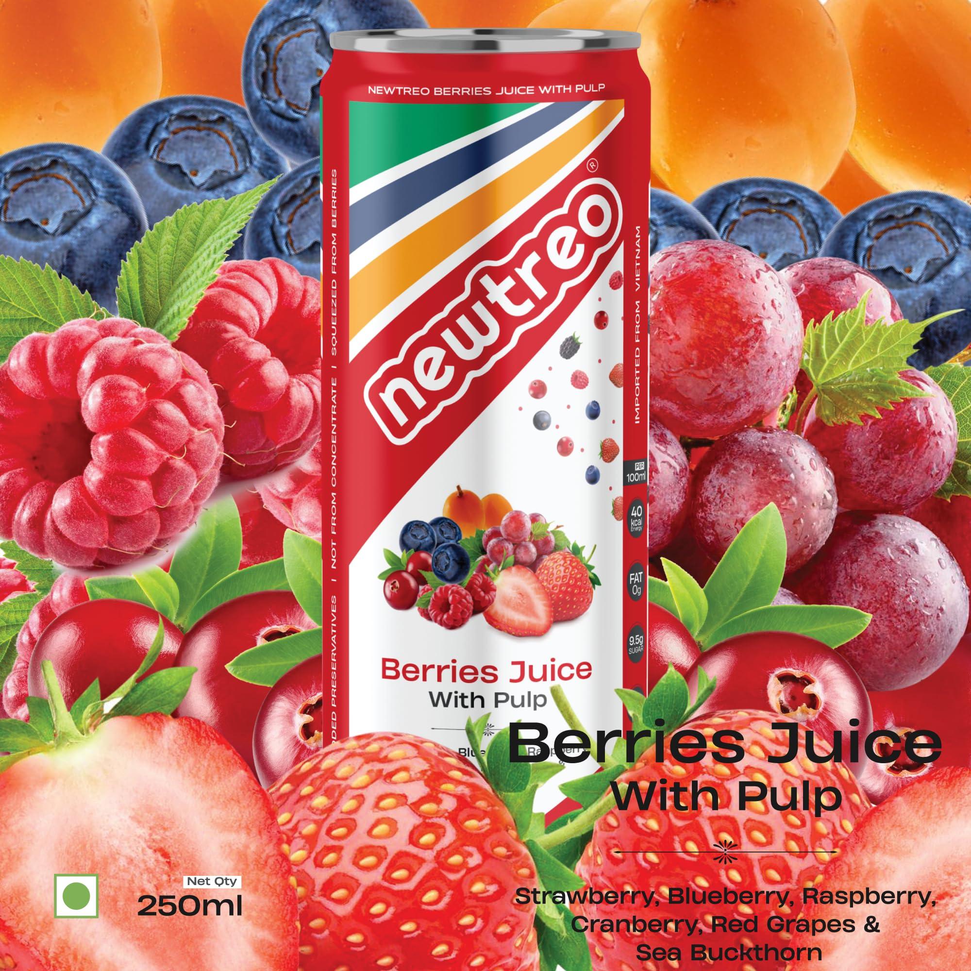 Newtreo Newtreo Berries Juice With Pulp | Imported from Vietnam | Strawberry, Blueberry, Raspberry, Cranberry, Red Grapes & Sea Buckthorn Juice | 12 x 250ml cans | No concentrates or preservatives added