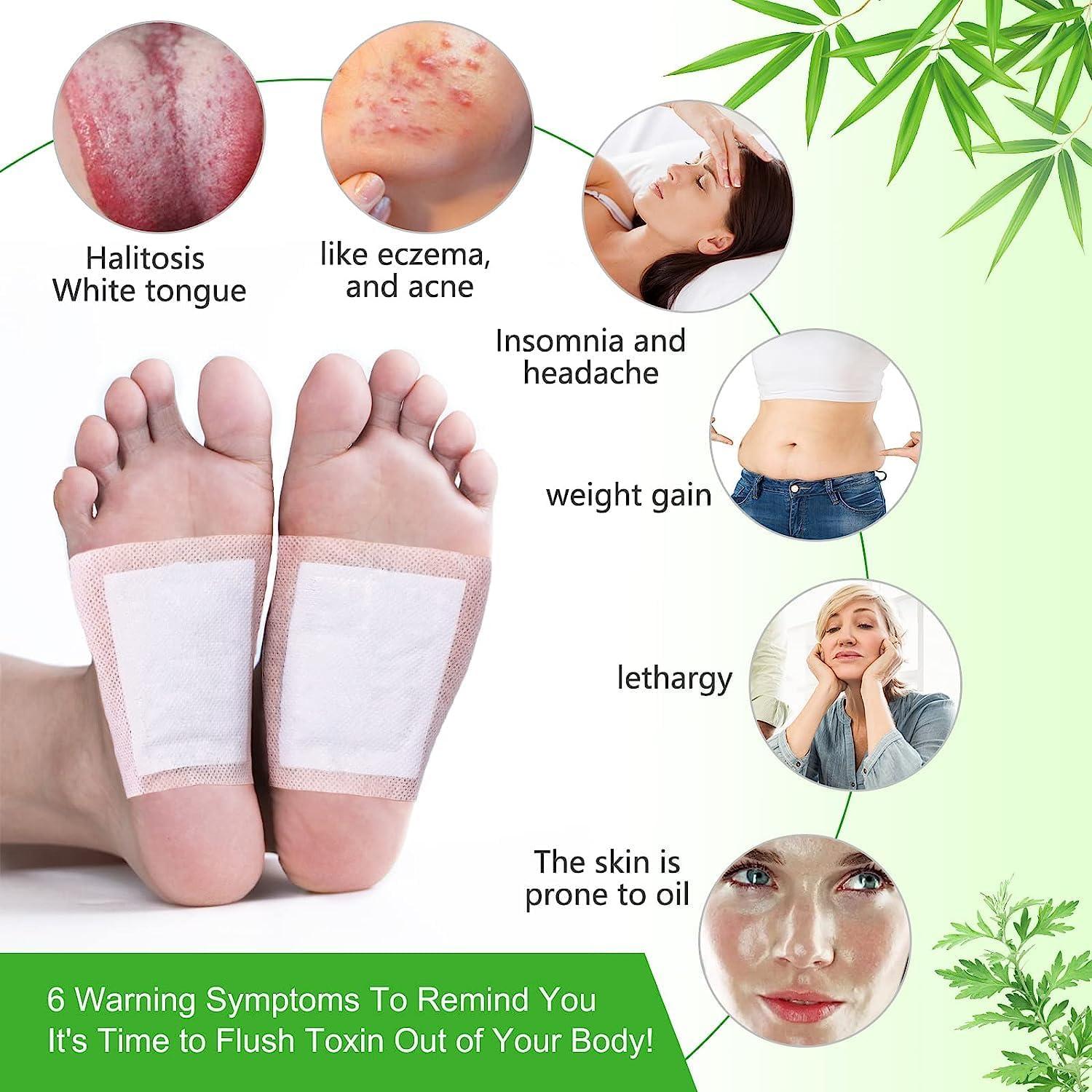 3M Littman 3M ESPE 12130 Floss and Toss Disposable Flossers Refill (Pack of 30)