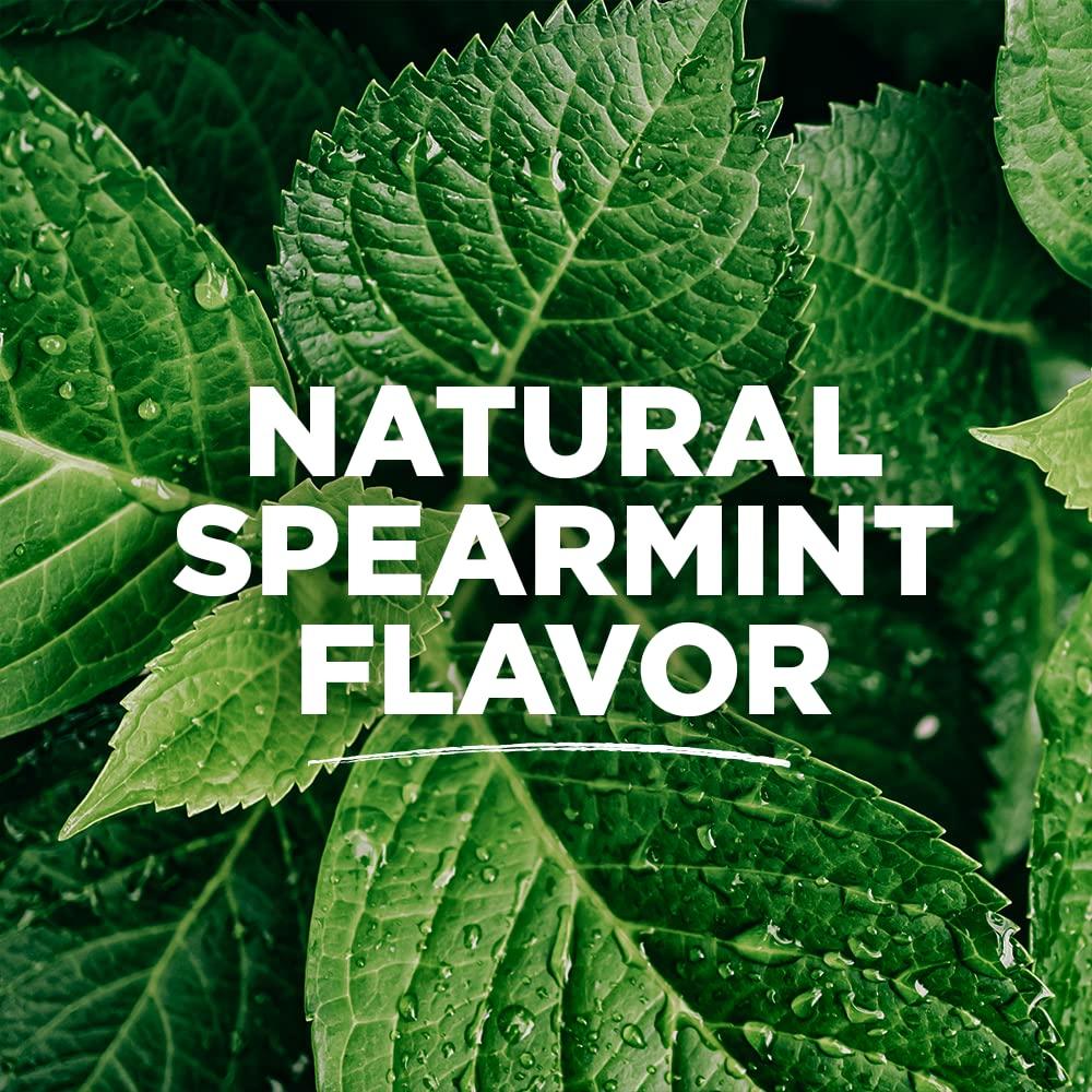 Tom's of Maine Tom\'s of Maine Naturally Waxed Antiplaque Flat Floss Toothpastes