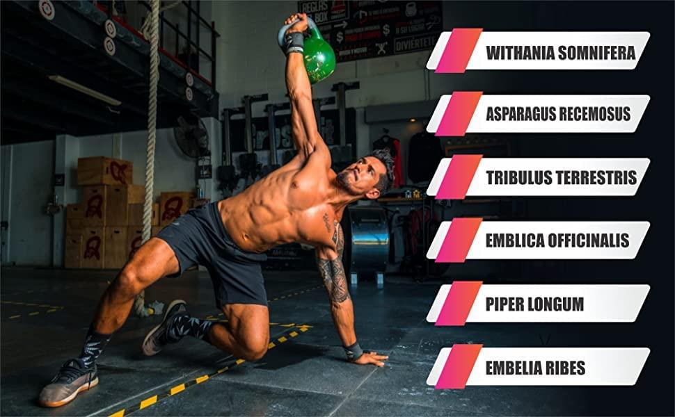 OMNI BEAUTY OINM ADVANCE Weight Gainer + 30 Capsule (Advance Formulation) Ayurvedic Medicine for Boys Girls