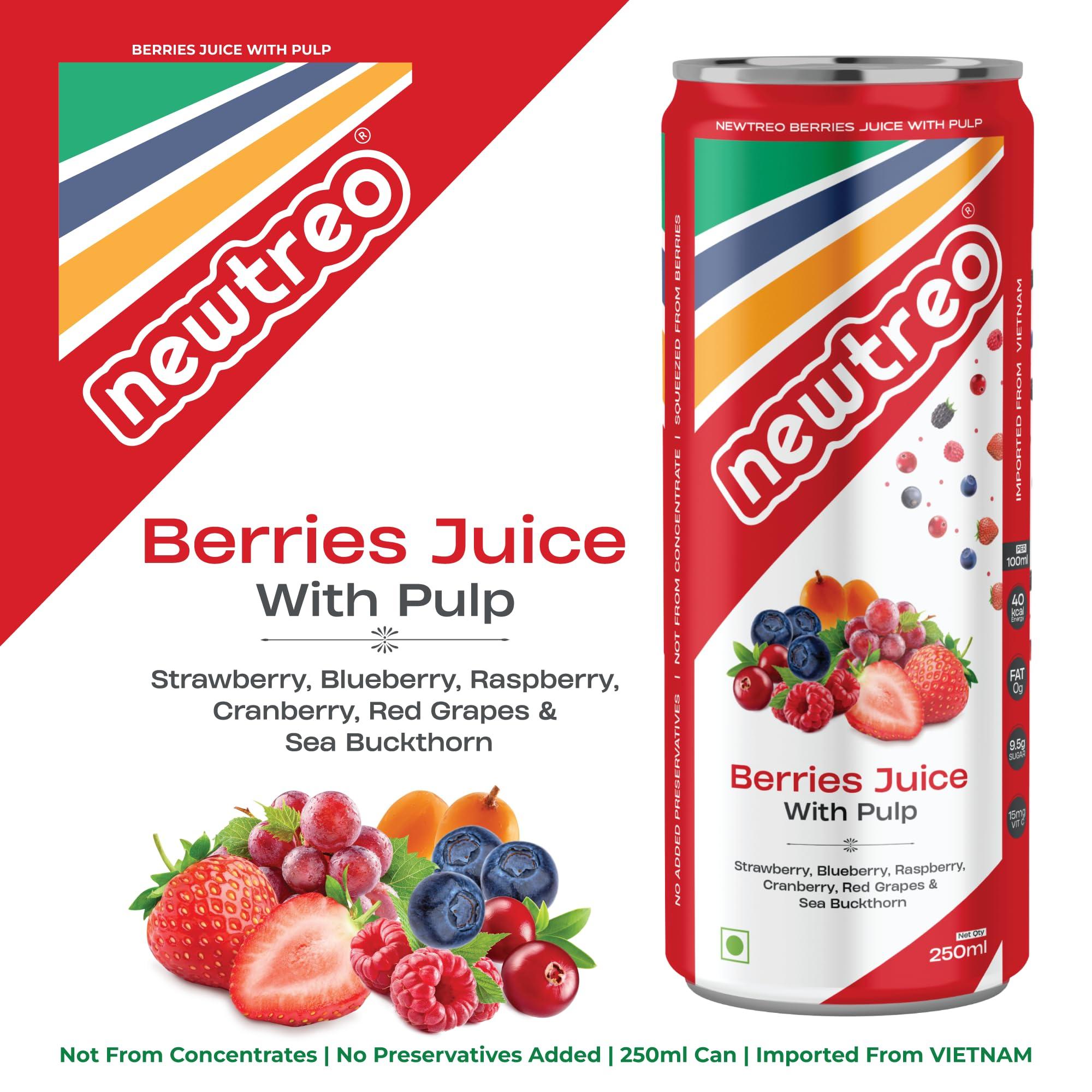 Newtreo Newtreo Berries Juice With Pulp | Imported from Vietnam | Strawberry, Blueberry, Raspberry, Cranberry, Red Grapes & Sea Buckthorn Juice | 12 x 250ml cans | No concentrates or preservatives added