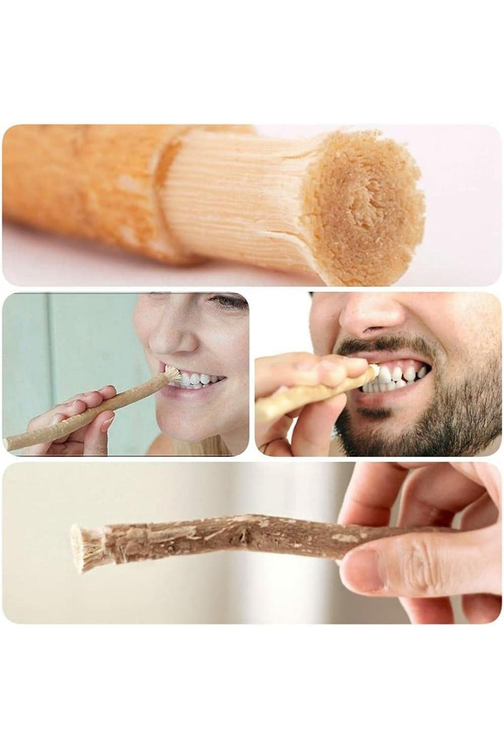 Generic Natural Herbal Miswak TOOTH BRUSH stick/Datun Natural Toothbrush Sticks (Pack of 10 Soft Toothbrush/ | Manual