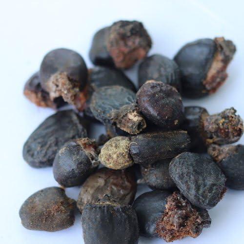 Kwality Bhelwa//Bhilwa//Semecarpus Anacardium Seed - Marking Nut Seed - Bile Semecarpus Anacardium Linn Seed (100 Grams)
