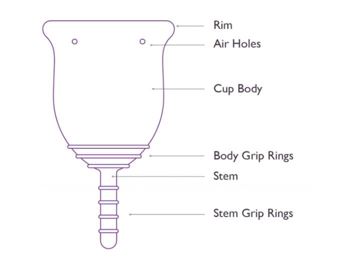 LAPTON Lapton Purple Color Reusable Silicone 25ML Menstrual Cup Pack of 1 (Purple_Large_25 ML)(k2-box-L_Purple_P1)