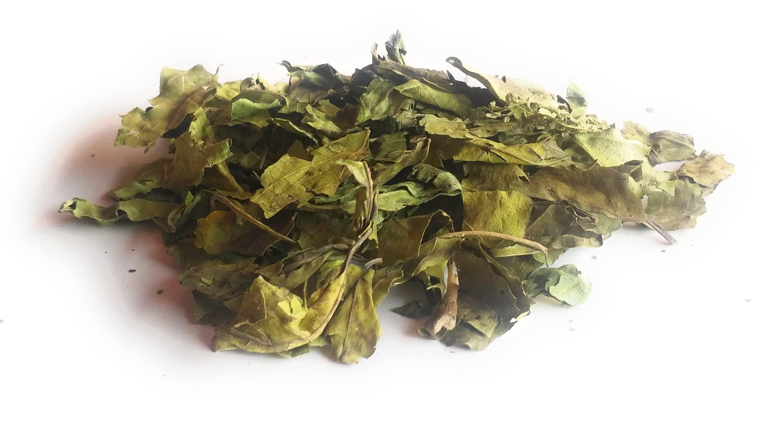Ayushiv Ayushiv ADULSA LEAF (Justicia adhatoda) - Adusa - Adulsa- MALABAR NUT- VASA -ADHATODA VASICA - BANSA GREEN (200 GM)