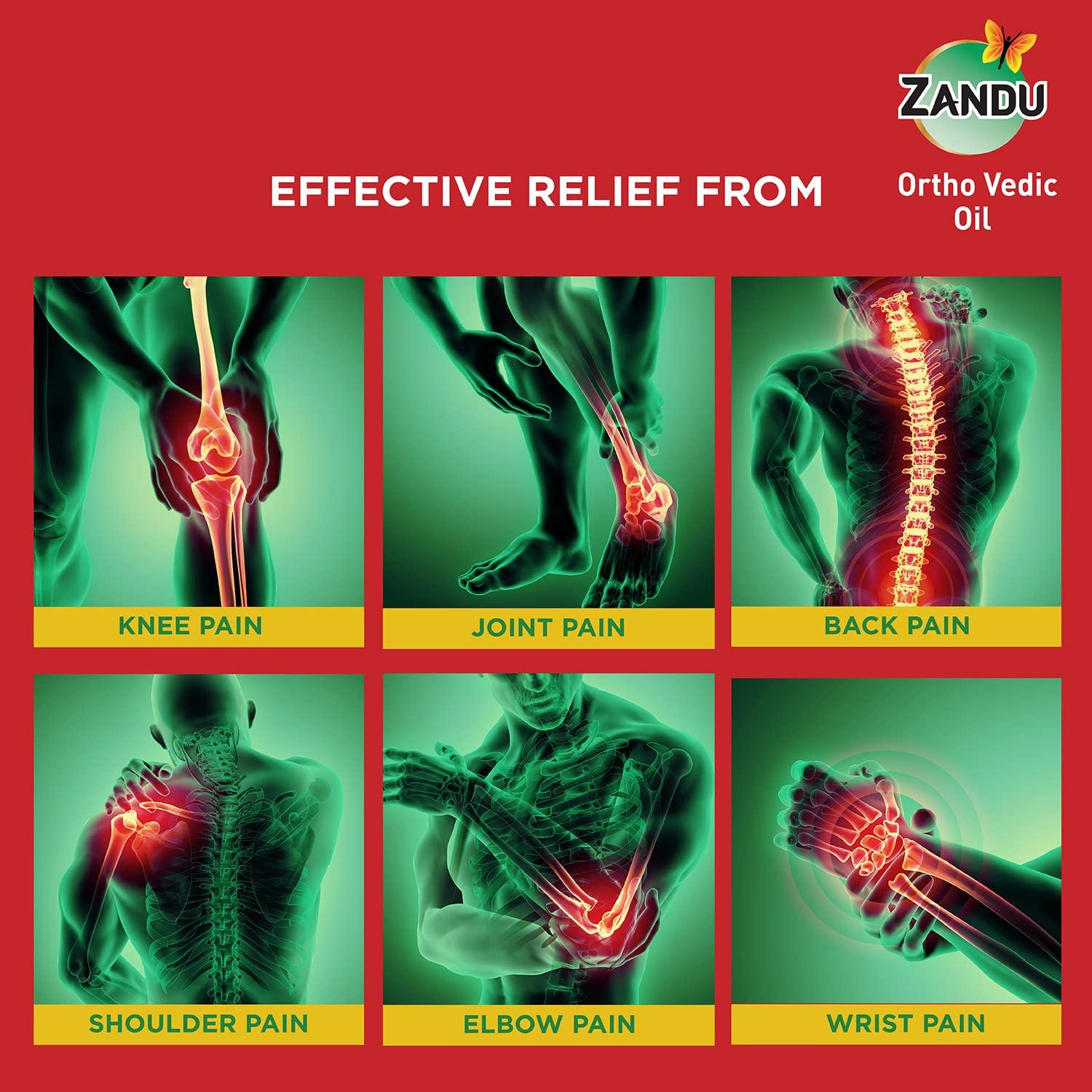 Zandu Zandu Ortho Vedic Oil, 120ml (Pack of 2), Ayurvedic Oil for Relief from Knee and Joint Pain,Muscle Pain, Osteoarthritis Visible Improvement in 7 days