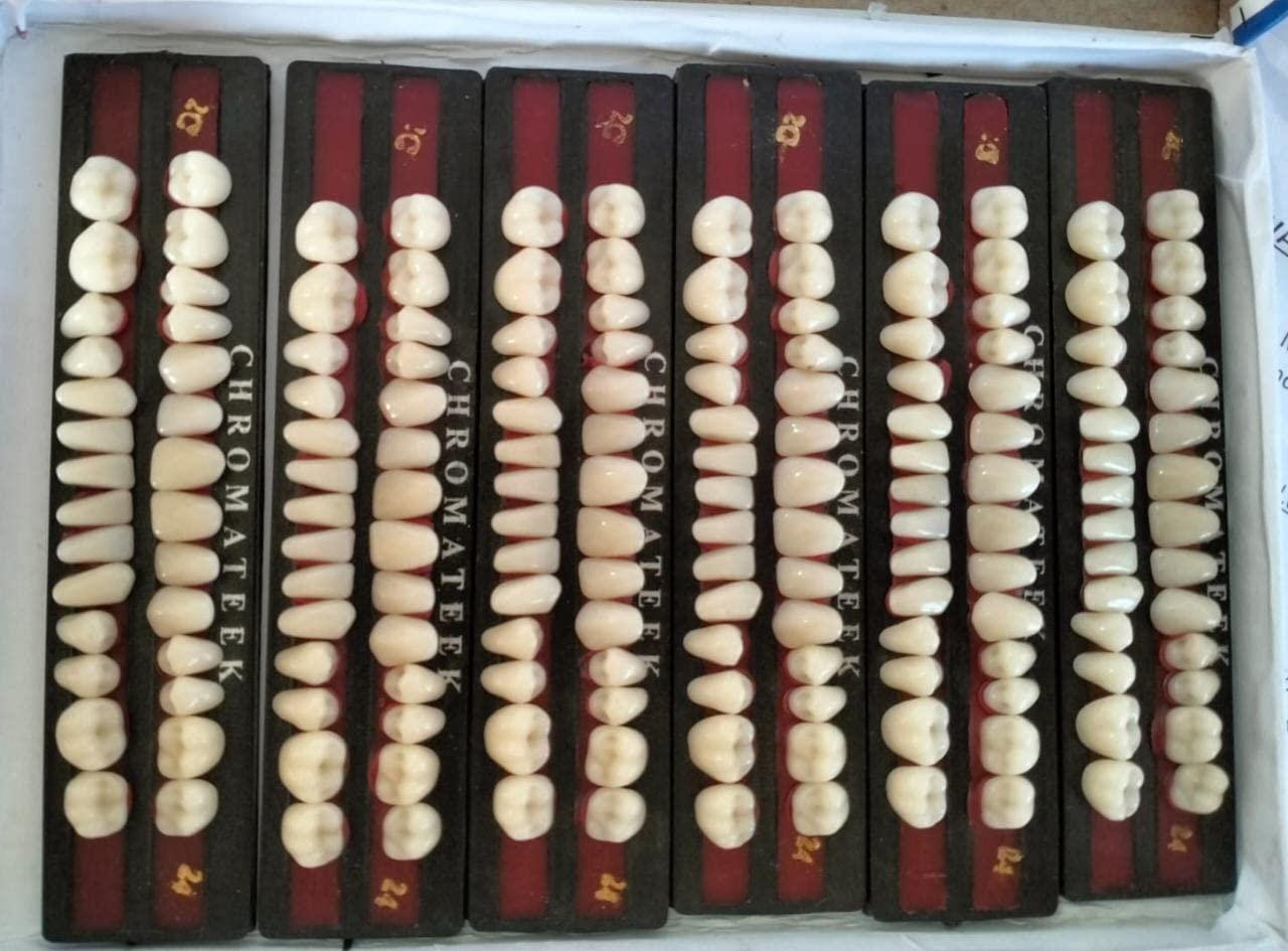 Generic Chromateek Single Layered Acrylic Teeth Set of 6 (2C-27)