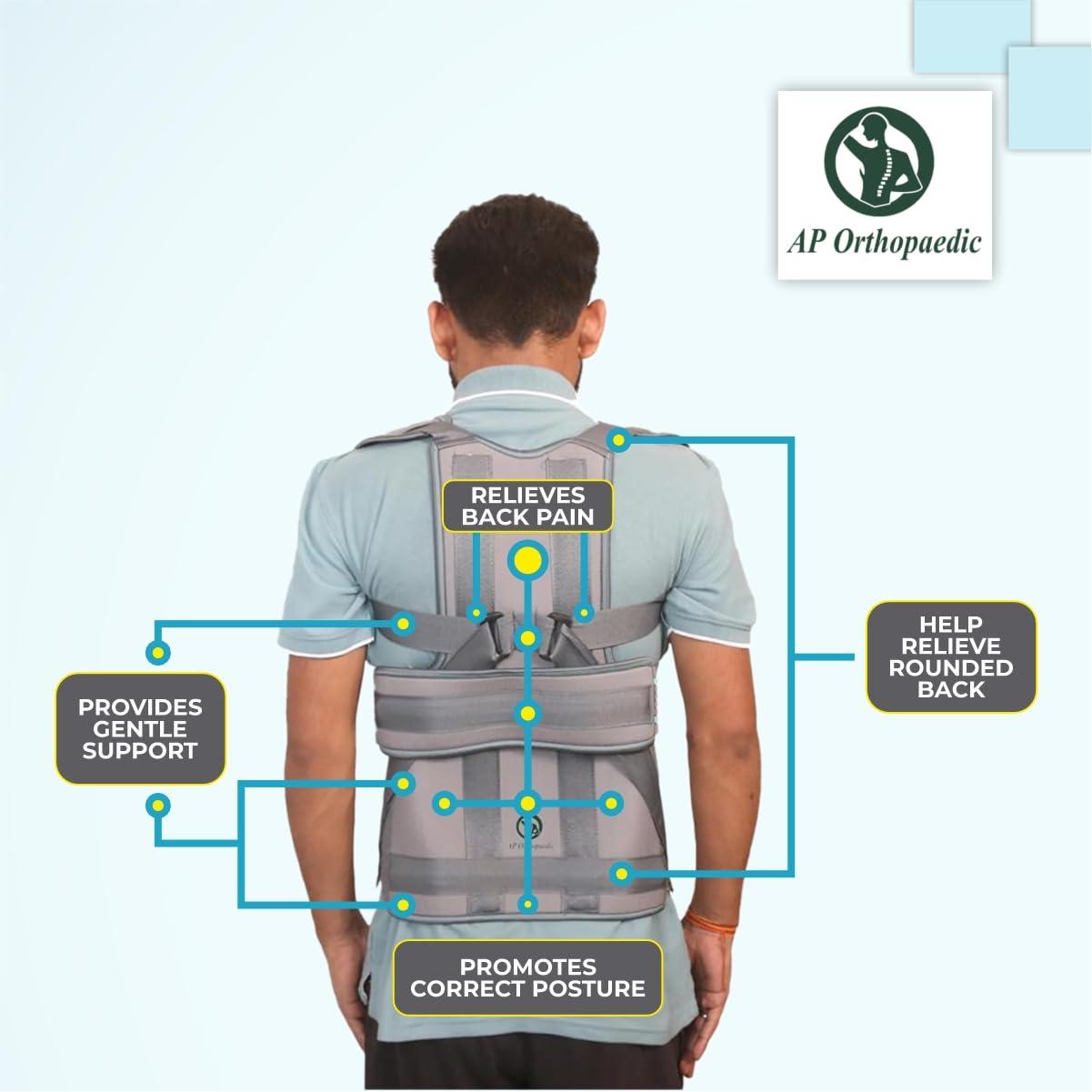 AP ORTHOPAEDIC AP ORTHOPAEDIC Taylor Brace Premium Lumbar Spinal Brace Support Belt For Back & Shoulder For Stability Immobilisation |Straightener For Spine Body Posture Corrector For Men Women (XL)