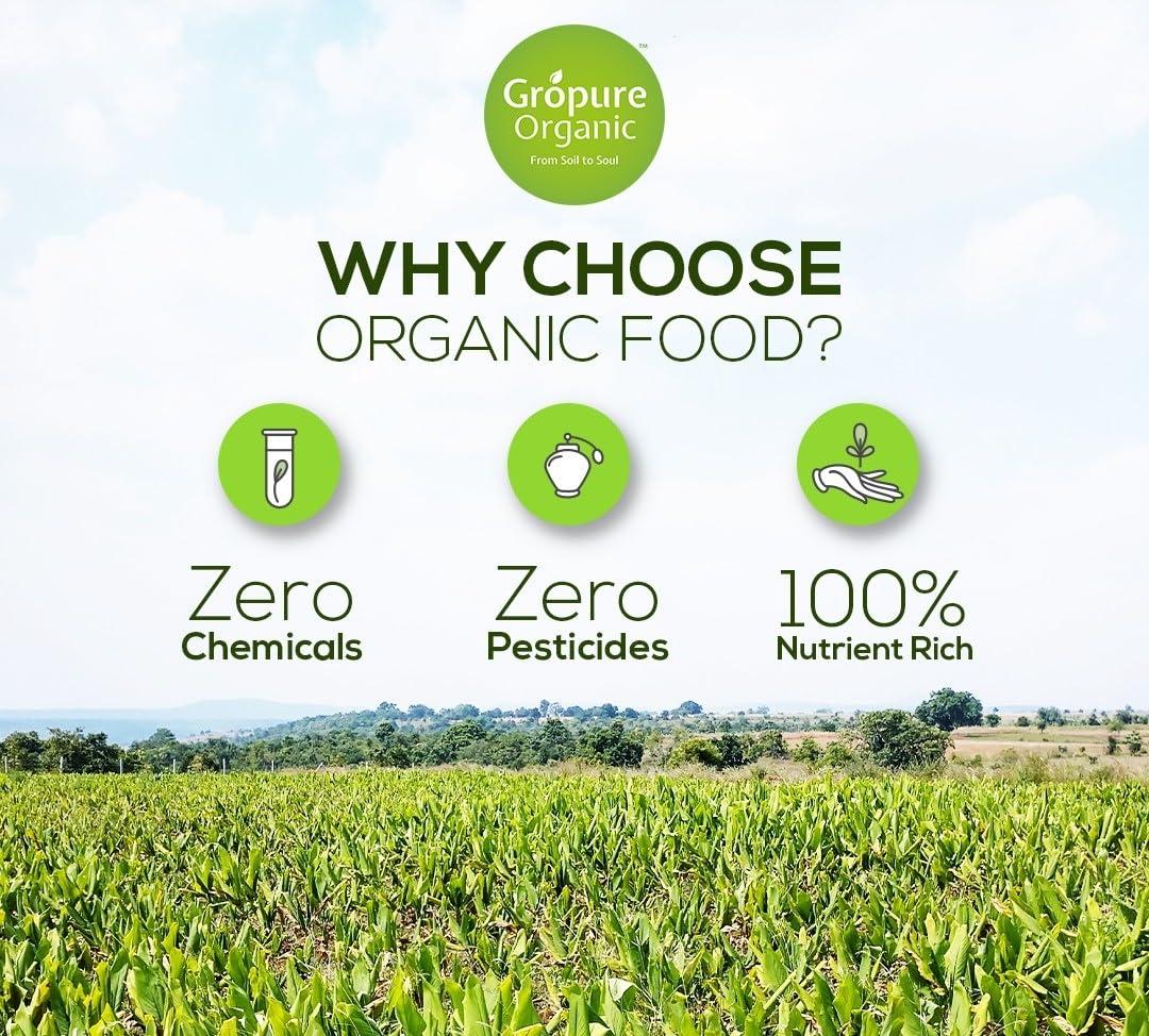 Gropure Organic: From Soil to Soul Gropure Organic: From Soil to Soul Gropure Organic Chironji Seeds (Almondette/Charoli Seeds), 100g