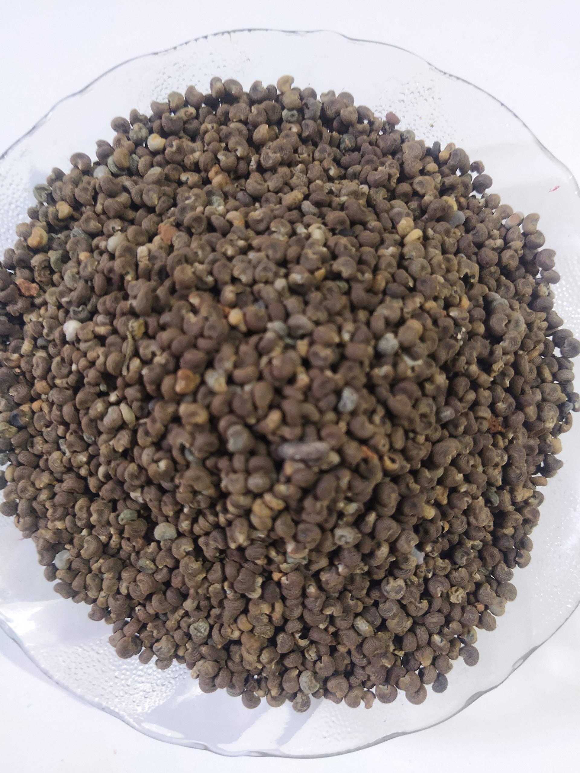 Generic Ambe Ayurveda - Musk Dana - Lata Kasturi - Ambrette Seeds - 100gm