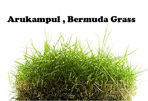 DIETS ORGANICS Diets Organics Arugampul Powder–Bermuda Grass Powder (Cynodon Dactylon) -200 G