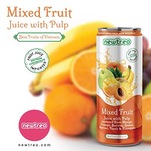 Newtreo Newtreo Mixed Fruit Juice With Pulp | Imported from Vietnam | Mango, Orange, Banana, Guava, Apricot, Peach & Pineapple Juice | 12 x 250ml cans | No Concentrates or preservatives added