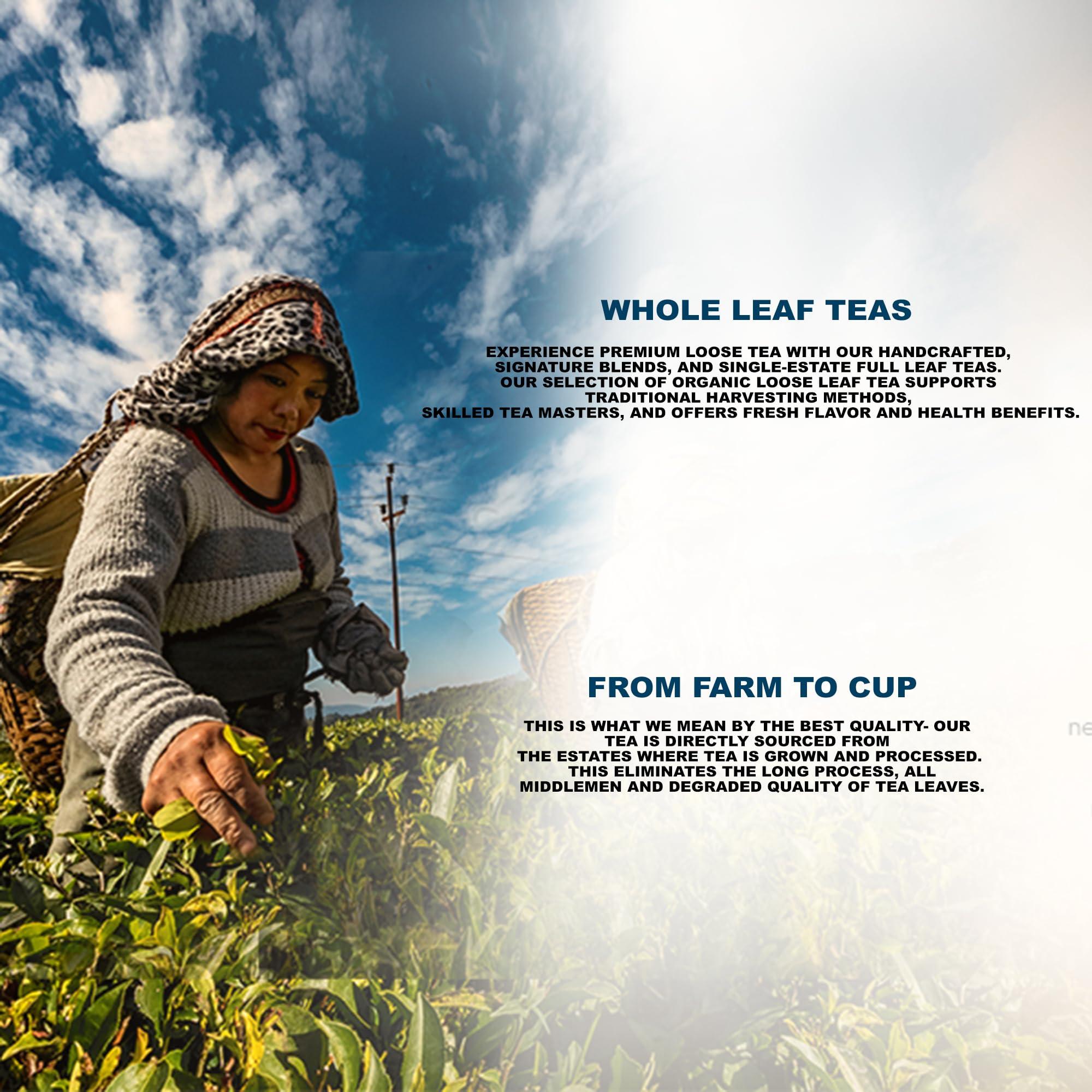 Kanwal Kanwal Shahi Qawah(Kahwa) Green Tea Powder,Pack Of 2(300Gmx2) Combo