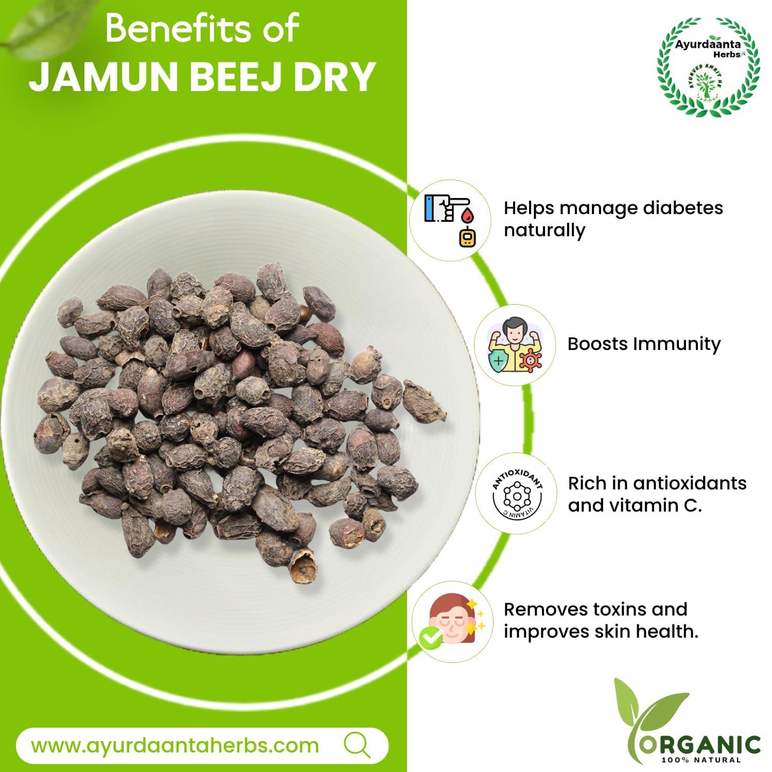 Ayurdaanta Herbs Ayurdaanta Herbs - Jamun Beej Dry 900Gr | Dried Jamun Seeds | Neredu Ginjalu | Black Plum | Syzygium Cumini | Jamun Beej | | | | 900Gr-FOR DIBETIES