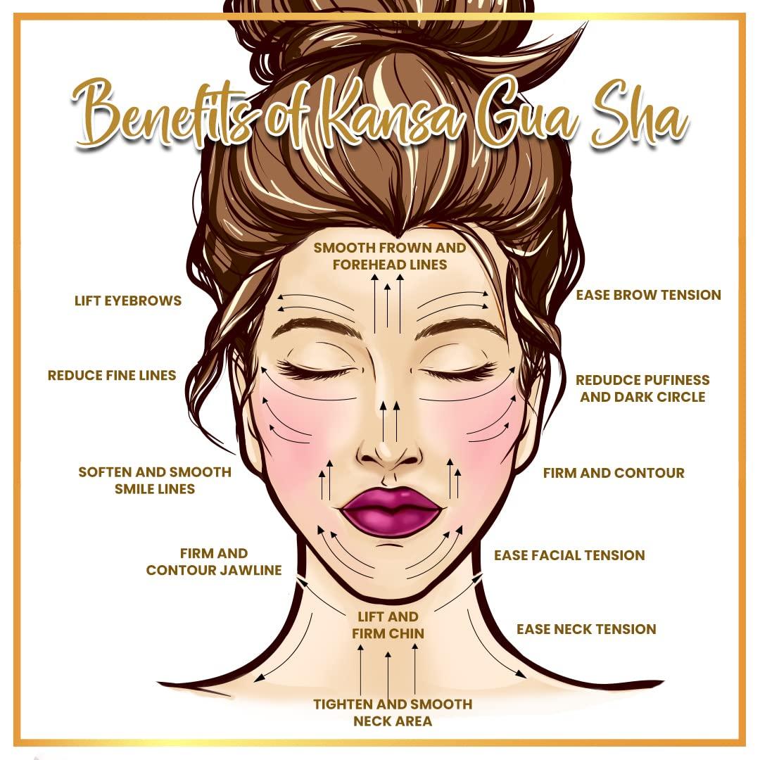 SUNSHINE NUTS SUNSHINE NUTS Dried Amla Candy Without Added Sugar. Refined Sugar Free Gooseberry Candy. Diabetic Friendly. Sweetened with 100% (400 Grams)