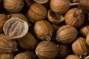 A2 Masala A2 Masala Sabut Dhaniya Coriander Seeds Pack of 1KG