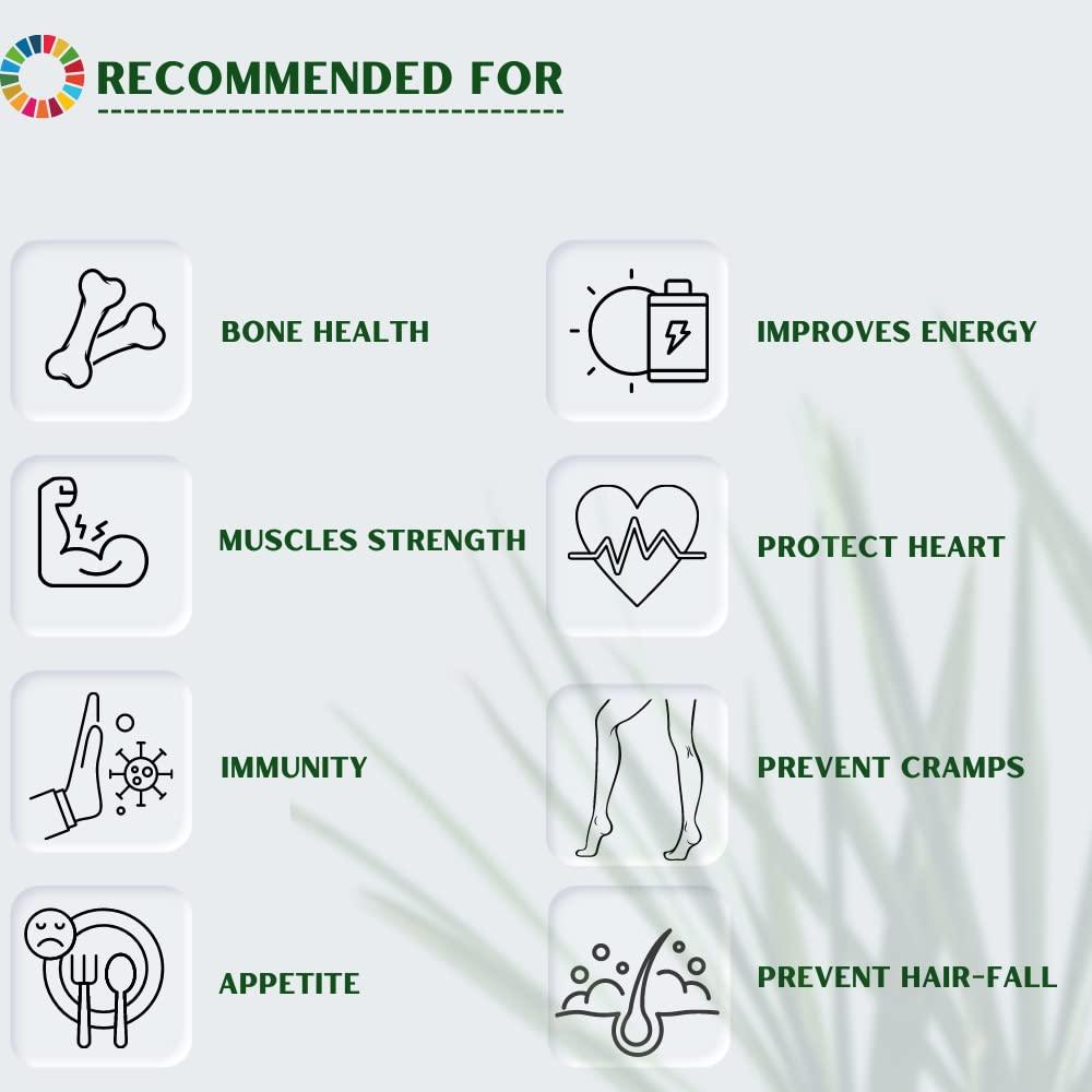 Tab Zyrocal Tab Zyrocal Plant Based Organic Algae Calcium D3 K2 Zinc Magnesium Tab | Supplement For Strong Bones | Safest Calcium | Osteoporosis Supplement, Bone Health Supplement | 30 Veg Tablets