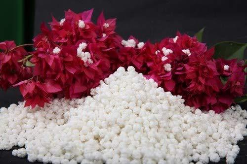 Being Marwari Being Marwari Speciality Prasad Dana ( Sweet Makhana), 5kg