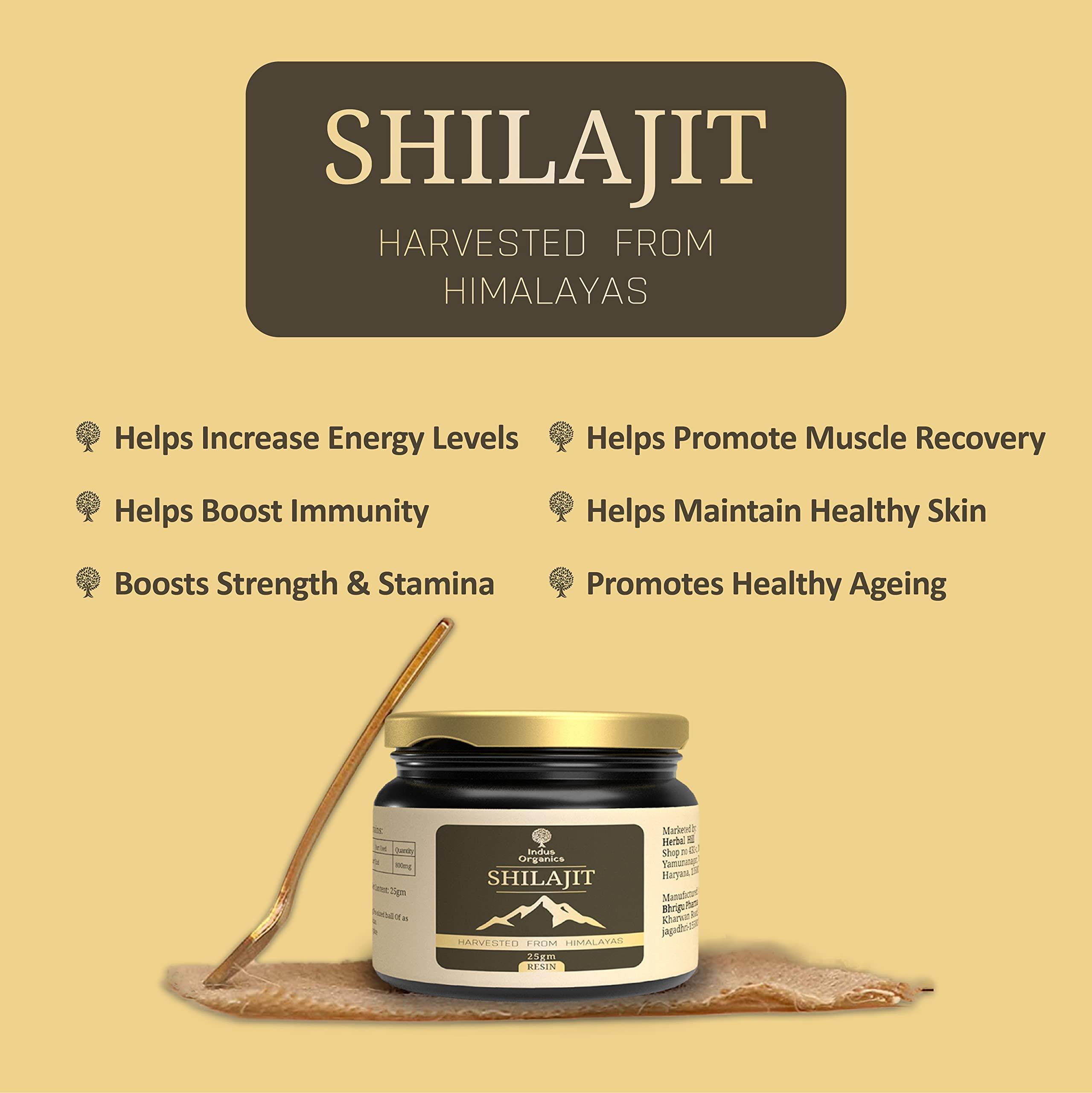 Indus Organics Indus Organics Himalayan Pure Shilajit Resin 25gm for Strength, Stamina, Focus,Vitality & Performance | Pack of 1