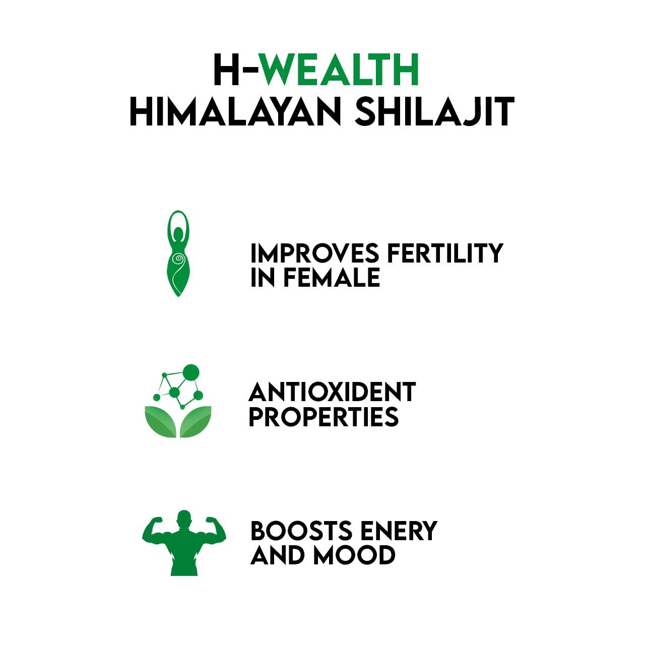 H-WEALTH SUPPLEMENT HWEALTH Himalayan Shilajit/Shilajeet Resin -For Endurance and Stamina (3)