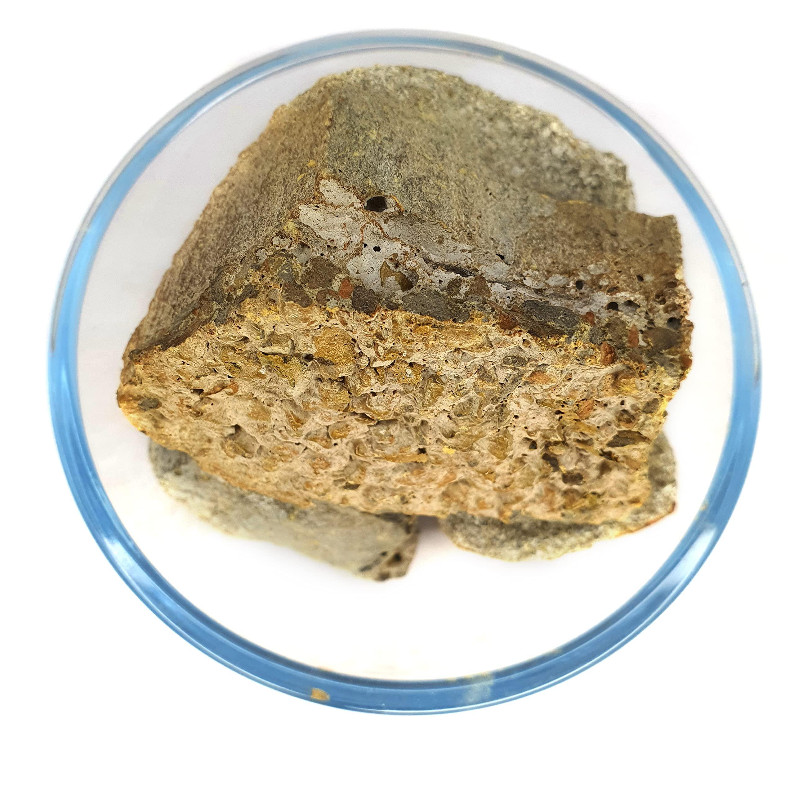 Generic Masso Pansari Murda Singi Murdar Singh Seng Litharge (200gm) | Chemical Free | No Added Preservative | Pure & Natural Murda Sindi