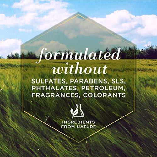 Burt\'s Bees Burts Bee Ear Cleaning, 4-Ounce