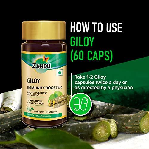 Zandu Zandu Giloy Capsules (Guduchi) 120 Veg Capsules, Natural Giloy Extract, Antioxidant Properties, Immunity Booster, Health and Wellness with 2X Immunity (Pack of 60 caps x 2)