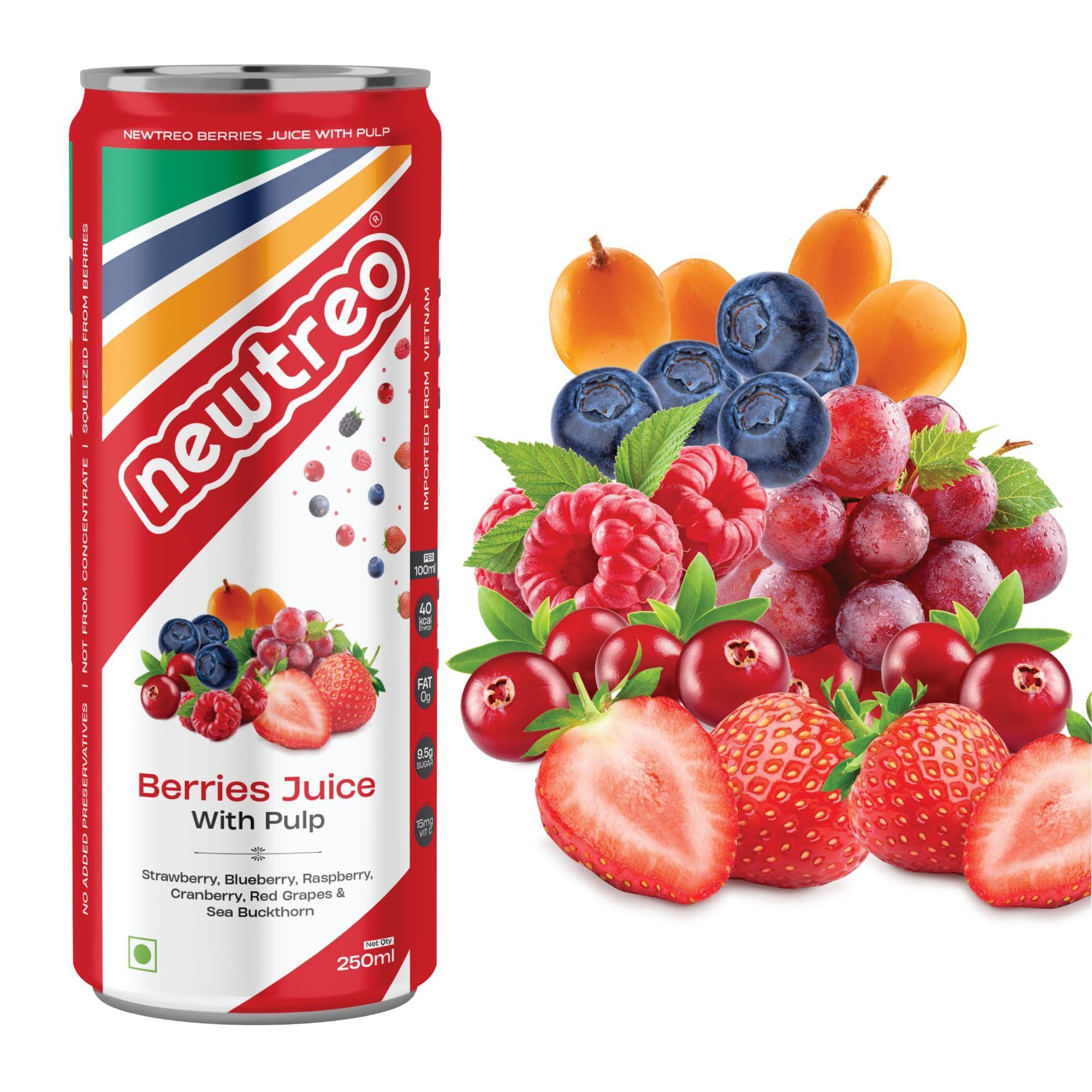 Newtreo Newtreo Berries Juice With Pulp | Imported from Vietnam | Strawberry, Blueberry, Raspberry, Cranberry, Red Grapes & Sea Buckthorn Juice | 12 x 250ml cans | No concentrates or preservatives added