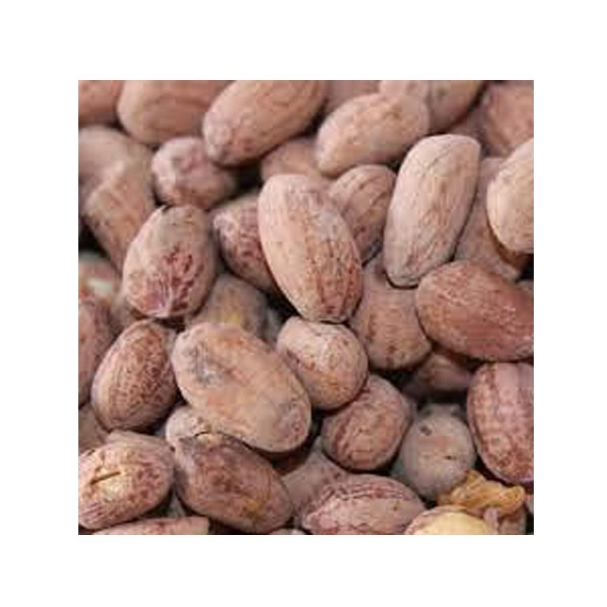 Avenn Avenn Roasted Peanuts Bharuch Khari Sing | Peanut Khari Sing Traditionally Roasted Salted Jumbo Peanuts, Snack and Namkeen (200)