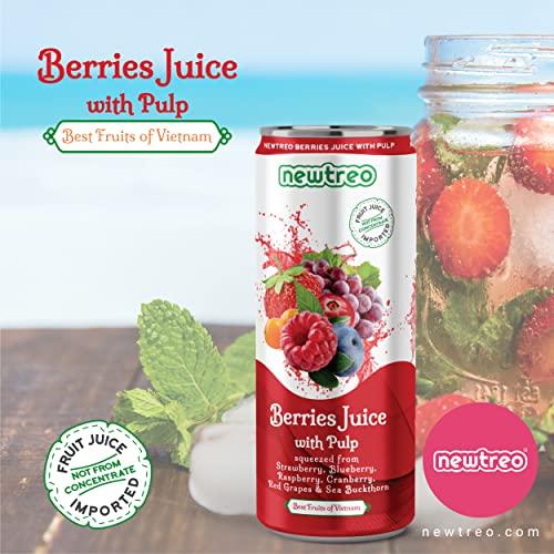 Newtreo Newtreo Berries Juice With Pulp | Imported from Vietnam | Strawberry, Blueberry, Raspberry, Cranberry, Red Grapes & Sea Buckthorn Juice | 12 x 250ml cans | No concentrates or preservatives added