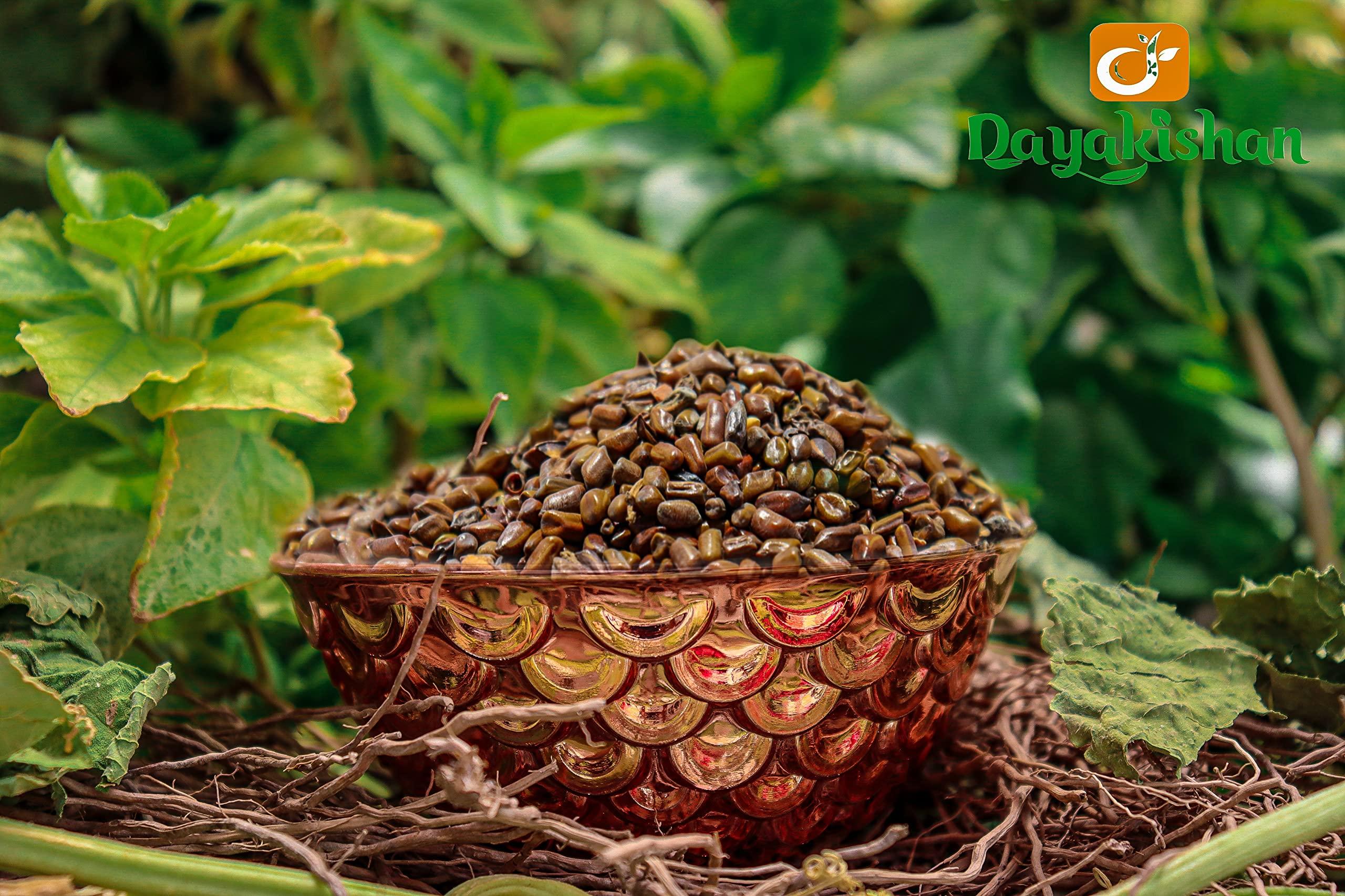 DAYAKISHAN DAYAKISHAN Beej Puwar, Raw Pawar Seeds | Panwar Seeds |Cleaned & Graded Cassia Tora Seeds | Improve Digestion & High Blood Pressure | Potential Health Benefits | Anti-Ageing Property | Ayurvedic Herbs (400 gm)