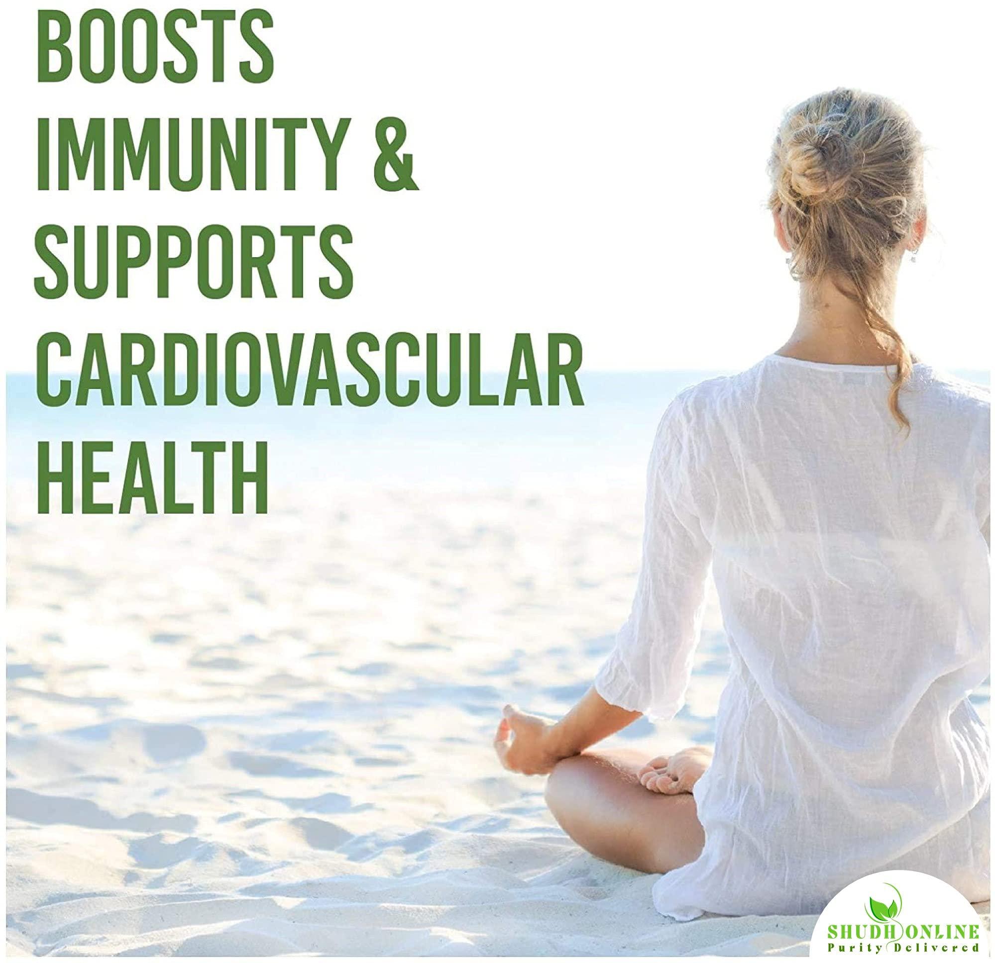 Shudh Online Shudh Online Spirulina Powder Organic 50g | Certified Organic Dried Spirulina Powder for face, Dried Protein Green Algae, Plant based Superfood for Smoothie (50g)