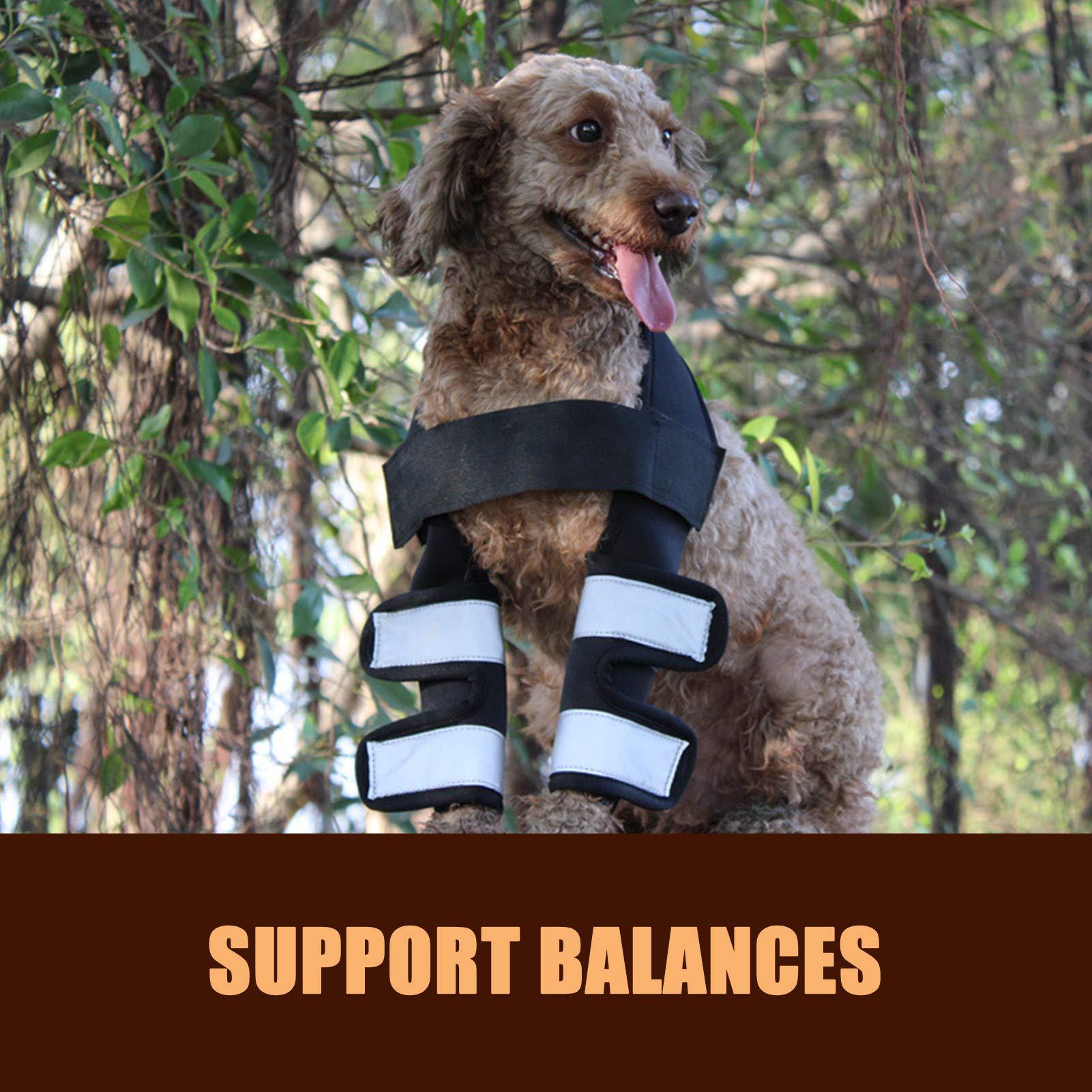 HUI Pet Elbow Support Wrap, Dog Elbow Brace Surgical Joint Protection Recovery Dog Elbow Protector Leg Brace Sleeve for Walking Support(M, Black)