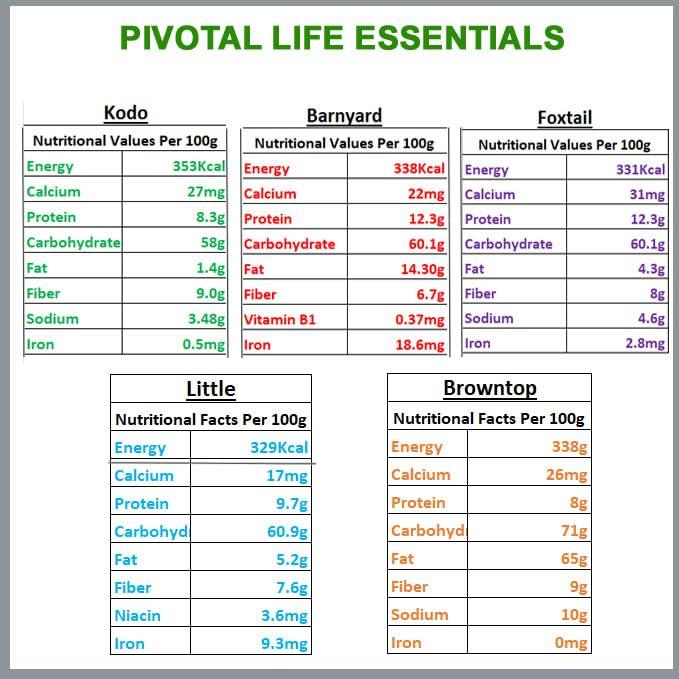 Pivotal Life Essentials Pivotal Life Millets 1kg Combo (Pack of 5) Foxtail(Korralu) 200g, Barnyard (Udhalu) 200g, Little (Samalu) 200g, Browntop (Andu Korralu) 200g, Kodo (Arikelu) Millet 200g(Pack Of 5)