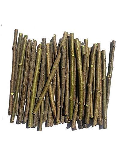 COCAME Fresh Organic Neem Datun Chew Sticks Neem Twigs for Better Tooth, Gems, Fresh Breath and Health/Neem Sticks/Vepa Pullalu / - (50 Pc)