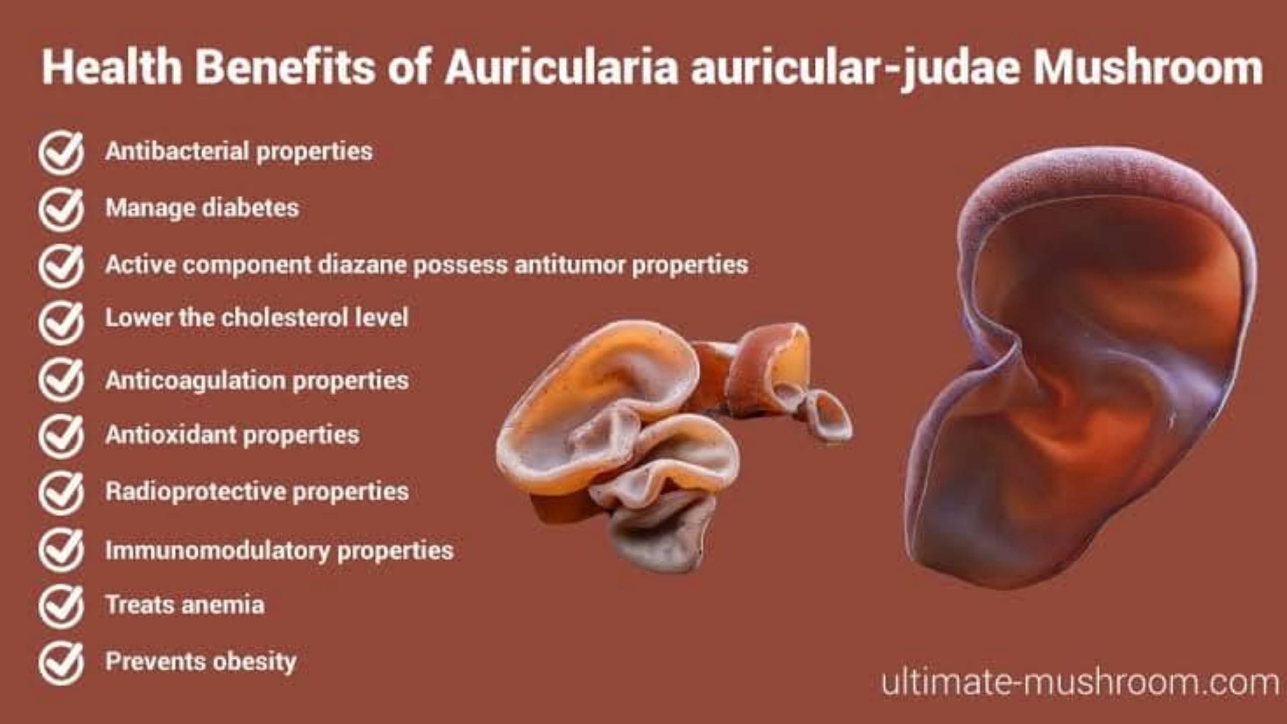 BM MUSHROOM Dry Edible Black Fungus (Cloud Ear and Wood Ear Mushrooms) 100 gm | No Presrevatives | 100% Natural