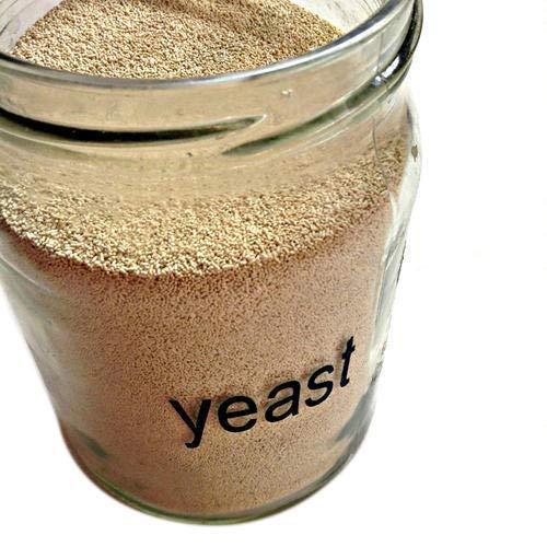 Organic 100% Organic 100% Baker's Active Dry Yeast (400 g)