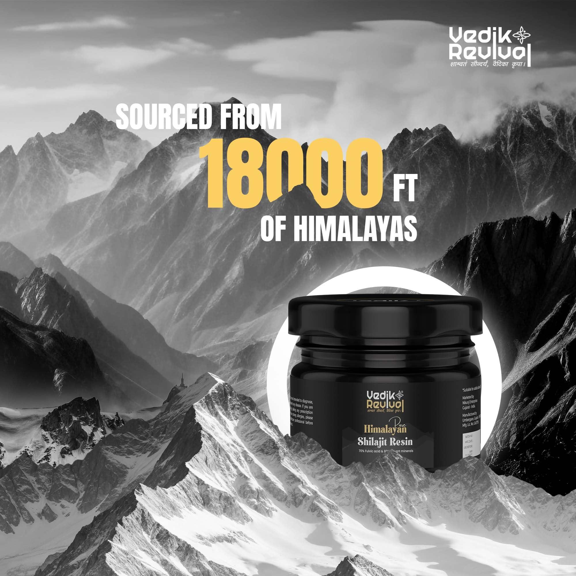 VEDIK REVIVAL Vedik Revival Pure Himalayan Shilajit Resin - Natural Rems for Endurance & Stamina - Organic Benefits with pure shilajit 20 gm