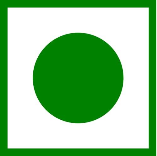 Green Vibe Green Vibe® lemon ginger premium natural dip green tea- lemon peel and ginger antioxidant stress relieving & refreshing immunity boosting - 30 pyramid tea bags [30 cups