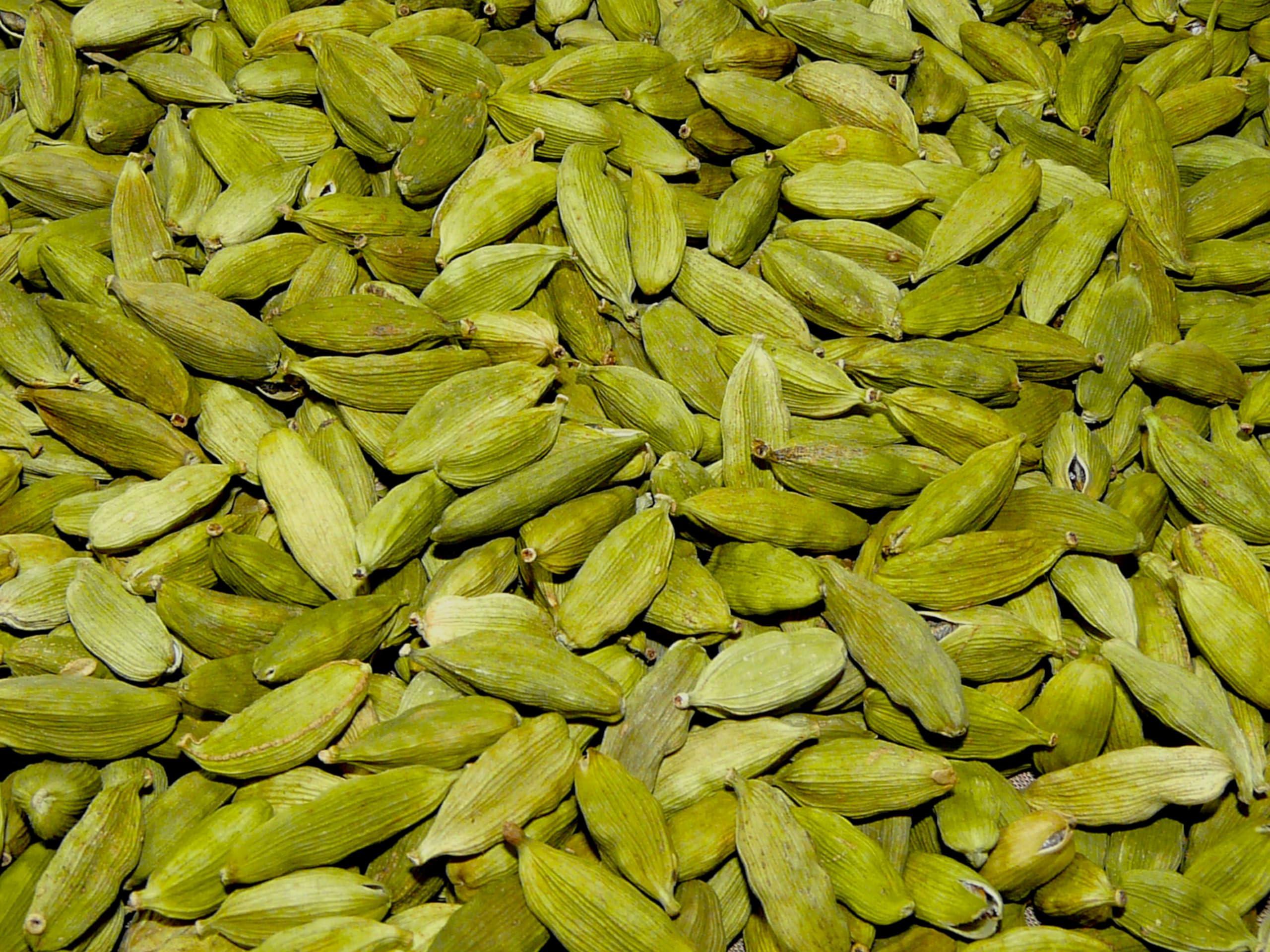 Generic Munnar Spices Green Cardamom Pods - Natural and Fresh for Cooking (whole elachi) (100 g)