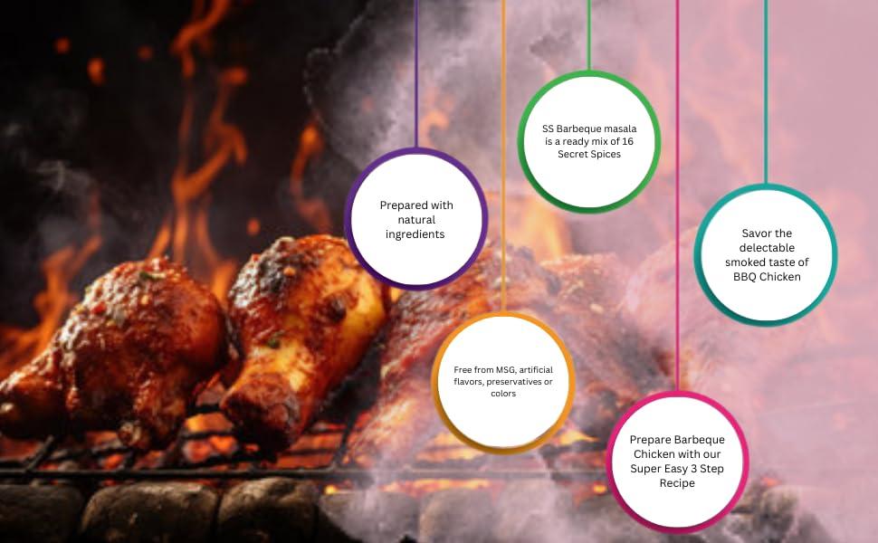 SS MASALAS SS MASALAS BBQ Masala Powder 300g. Ready mix Spices for Chicken/Meat/Paneer Barbeque Marination (100g Pack of 3)