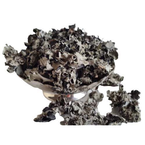 Nutrixia Food Stone Flower -Parmotrema perlatum (50 Gms)